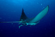 sxm8