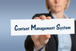 CMS, business, Content Management System