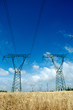 Electricity and nature
