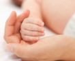 Foto: Tiny little precious hands Tiny little precious hands