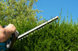 Cut hedge