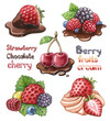 Set of berry Illustrations
