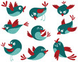 Birds