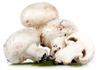 Champignon freschi