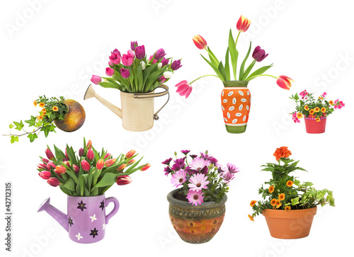 Photo: Various spring and summer flower pots isolated on white Various spring and summer flower pots isolated on white
