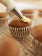 Close up of cupcake being frosted