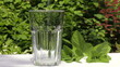 Video: Pouring water into a glass in a summer garden Pouring water into a glass in a summer garden