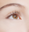 Close up of womanís eye