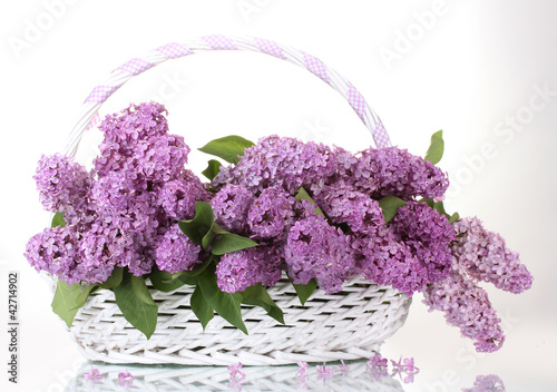 Photo: beautiful lilac flowers in basket isolated on white beautiful lilac flowers in basket isolated on white