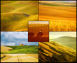 Tuscany collage