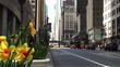 Center of Manhattan. NYC