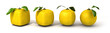 Lemon evolution