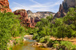 Scenic views of the Zion National park