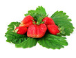 Foto: Strawberries with leaves Strawberries with leaves