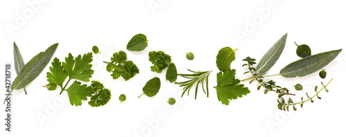 Foto: Herb Border over White Background Herb Border over White Background
