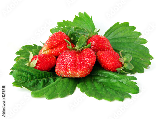 Foto: Strawberries with leaves Strawberries with leaves