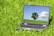 Photo: Landscape on laptop screen Landscape on laptop screen