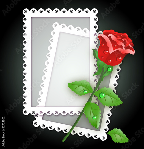 Vektor: White frame and rose White frame and rose