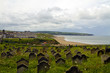 Across the graveyard to Whitby bay