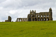 Whitby Abbey across the field