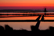 Stagnone di Marsala