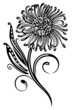 Chrysantheme, Ranke, flora, Blume, Blüte, schwarz