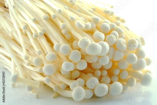 Photo: golden needle mushroom golden needle mushroom