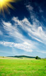 Nice summer landscape.