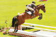 concours hippique