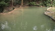 Video: Fish Swimming In Clear Pond In Thailand Fish Swimming In Clear Pond In Thailand