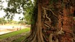 Walls of ancient ruins