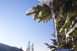 Eiszapfen