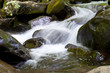 the river