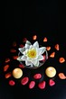 Seerose in Kristallschale