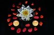 Seerose in Kristallschale