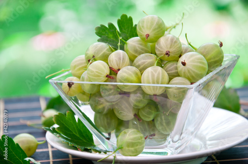 Photo: Gooseberry in glass bowl Gooseberry in glass bowl