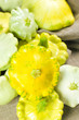 Patty Pan Squash