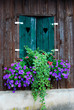 wooden window decorated with flowers