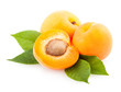 ripe apricots
