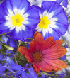 Arreglo floral
