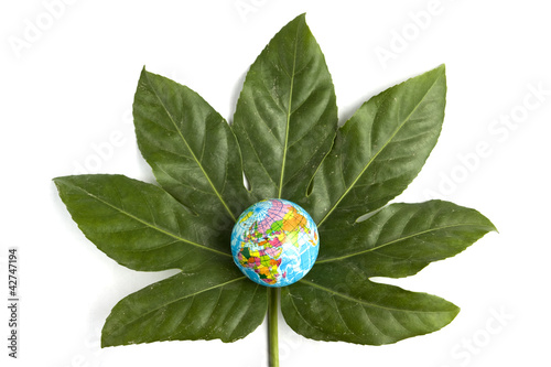 Photo: Green planet concept Green planet concept