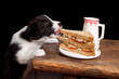 Sandwich thief