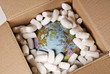 Im Karton verpackter Globus