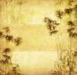 bamboo on old grunge paper texture background