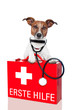 first aid dog
