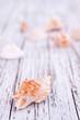 Muscheln auf Holzbrett
