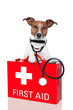first aid dog