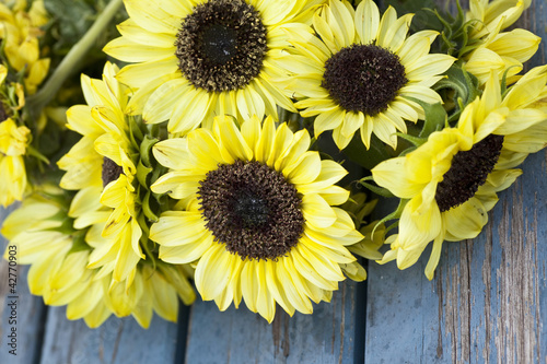Photo: Fall Sunflowers Fall Sunflowers