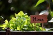 Foto: garten garten
