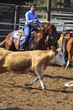 Young woman is riding a horse
